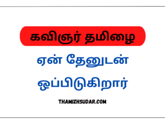 கவிஞர் தமிழை ஏன் தேனுடன் ஒப்பிடுகிறார்