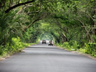 இயற்கையை பாதுகாப்போம் கட்டுரை